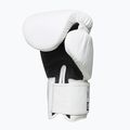 Boxerské rukavice StormCloud Blizzard white/black 4
