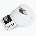 Boxerské rukavice StormCloud Blizzard white/black 5
