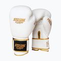 Boxerské rukavice StormCloud Boxing Pro white/gold