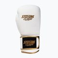 Boxerské rukavice StormCloud Boxing Pro white/gold 2