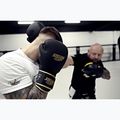 Boxerské rukavice StormCloud Boxing Pro black/gold 12