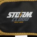 Boxerská prilba StormCloud Lynx black/gold 5