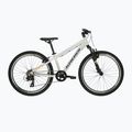 Detský bicykel KROSS Dust Jr 1.0 grey/black/gloss