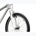 Dámsky horský bicykel KROSS Lea 1.0 silver/white/gloss 5