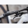 Dámsky elektrický bicykel KROSS Influx Hyb 1.0 720Wh grey/gold/gloss 15