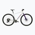 Gravelový bicykel KROSS Esker 1.0 FL grey/purple/gloss