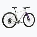 Gravelový bicykel KROSS Esker 1.0 FL grey/purple/gloss 3