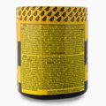 Real Pharm predtréningovka Unreal 360g čierne ríbezle-citrus 700957 2