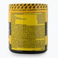 Predtréningový prípravok Real Pharm Unreal 360g čierne ríbezle 701510 3