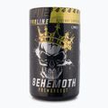 Real Pharm Behemot pred tréningom 500g mango-maracuja 714183