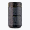 Real Pharm Behemot pred tréningom 500g mango-maracuja 714183 2