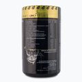 Real Pharm Behemot pred tréningom 500g mango-maracuja 714183 3