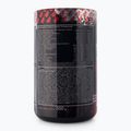 Real Pharm Terminator pred tréningom 500g hrozno 715029 2