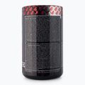 Real Pharm Terminator pred tréningom 500g hrozno 715029 3