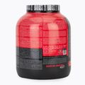 Fitness Authority Isolate Bad Ass Zero 2 kg cookies so smotanou 2