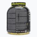 Gainer Fitness Authority Skull Labs Ripped 3 kg vanilka 3