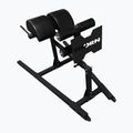 Prístroj na cvičenie bicepsu THORN FIT GHD-1 gym black