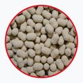 MatchPro Top Garlic 7 mm háčik s činkou 979231 2