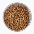 Mrazom sušené potraviny LYOFOOD Jaglanka na kokosovom nápoji 210 g 3