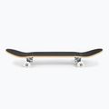 Fish Skateboards Zack Beginner klasický skateboard 8.0' modrý SKATE-ZAC-SIL-WHI 2