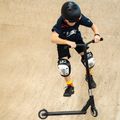 Fish Scooter Shark freestyle scooter black 12