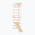 Gymnastický rebrík RINAGYM SPR C+SLIDE 2