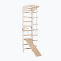 Gymnastický rebrík RINAGYM SPR C+SLIDE 4