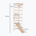 Gymnastický rebrík RINAGYM SPR C+SLIDE 6