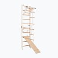 Gymnastický rebrík RINAGYM SPR A+SLIDE 3
