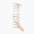 Gymnastický rebrík RINAGYM SPR A+SLIDE 4