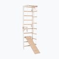 Gymnastický rebrík RINAGYM SPR B+SLIDE 3