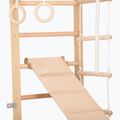 Gymnastický rebrík RINAGYM SPR B+SLIDE 5