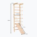 Gymnastický rebrík RINAGYM SPR B+SLIDE 6