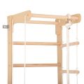 Gymnastický rebrík RINAGYM SPR B 4