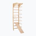 Gymnastický rebrík RINAGYM SPR C+SLIDE 3