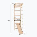 Gymnastický rebrík RINAGYM SPR C+SLIDE 6
