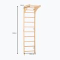 Gymnastický rebrík RINAGYM SPR C Pure 5
