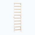 Gymnastické rebriny RINAGYM SPR H white 3