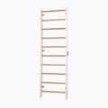 Gymnastické rebriny RINAGYM Kombi 1 white 3