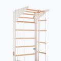 Gymnastické rebriny RINAGYM Pro 2 white 5