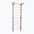 Gymnastické rebriny RINAGYM Steel Pure graphit 2