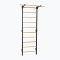 Gymnastické rebriny RINAGYM Steel Pure graphit 3