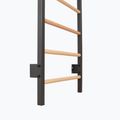 Gymnastické rebriny RINAGYM Steel Pure graphit 9