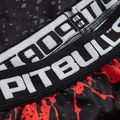 Pánske legíny Pitbull West Coast Compr Pants Blood Dog black 3