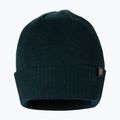 Pánska zimná čiapka Pitbull West Coast Beanie Small Logo dark green 2