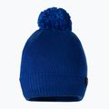 Pánska zimná čiapka Pitbull West Coast Beanie Bubble Small Logo royal blue 2