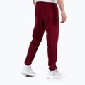 Pánske nohavice Pitbull West Coast Track Pants Athletic burgundy 2