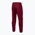 Pánske nohavice Pitbull West Coast Track Pants Athletic burgundy 6