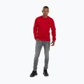 Pánska mikina Pitbull West Coast Tanbark Crewneck Sweatshirt red 2