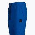 Pánske nohavice Pitbull West Coast Pants Clanton royal blue 9